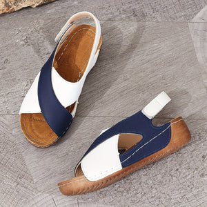 Blue-White