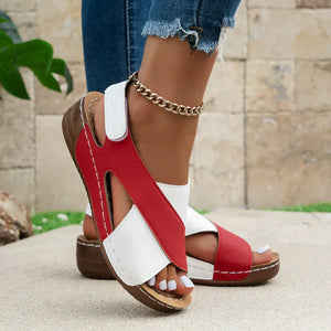 Red-White