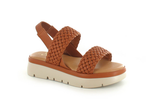 Tan